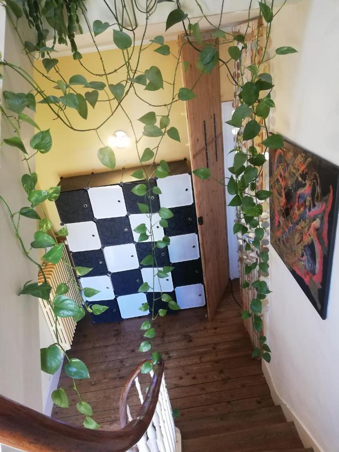 شيربوغ أون كوتننتين La Chambre D'Hote De Chris المظهر الخارجي الصورة